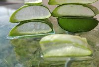 Inilah aloe vera, tanaman herbal dengan 75 senyawa aktif yang bermanfaat bagi kesehatan Anda. (Pixabay.com/mozo1901)