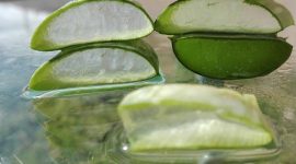 Inilah aloe vera, tanaman herbal dengan 75 senyawa aktif yang bermanfaat bagi kesehatan Anda. (Pixabay.com/mozo1901)
